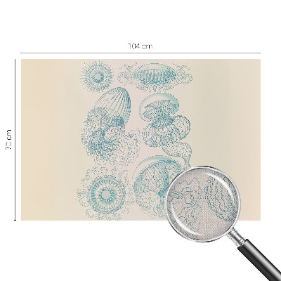 Tapeta fotograficzna samoprzylepna z motywem morskich meduz