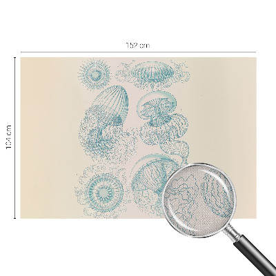 Tapeta fotograficzna samoprzylepna z motywem morskich meduz