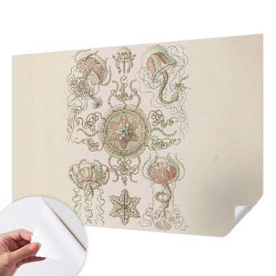 Nowoczesna fototapeta do salonu Nowoczesna fototapeta do salonu