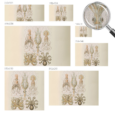 Dekoracyjna fototapeta na ścianę Dekoracyjna fototapeta na ścianę