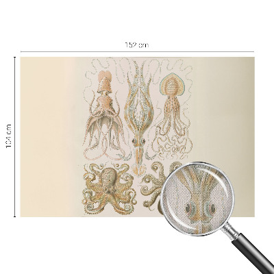 Dekoracyjna fototapeta na ścianę Dekoracyjna fototapeta na ścianę