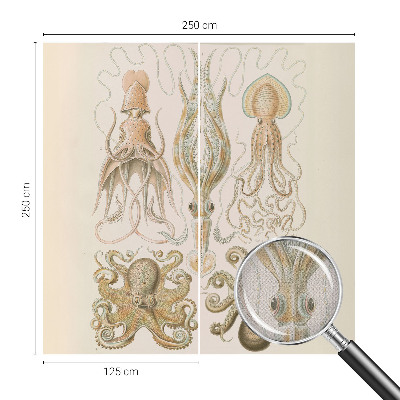 Dekoracyjna fototapeta na ścianę Dekoracyjna fototapeta na ścianę