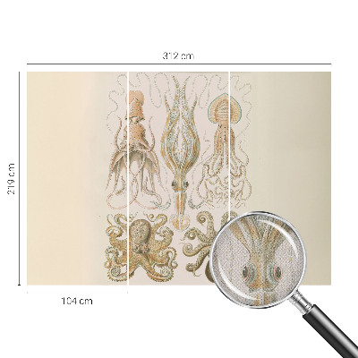 Dekoracyjna fototapeta na ścianę Dekoracyjna fototapeta na ścianę