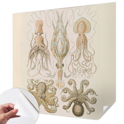 Dekoracyjna fototapeta na ścianę Dekoracyjna fototapeta na ścianę