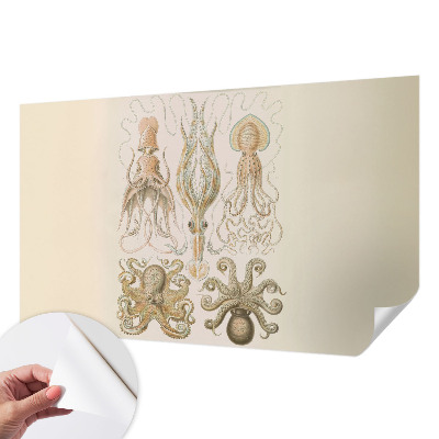 Dekoracyjna fototapeta na ścianę Dekoracyjna fototapeta na ścianę