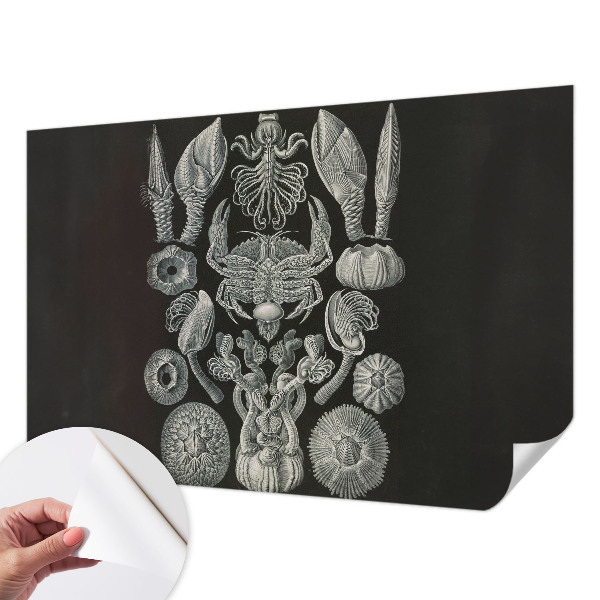 Fototapeta samoprzylepna z nadrukiem Fototapeta samoprzylepna z nadrukiem