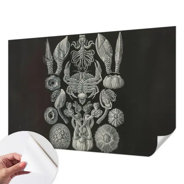 Fototapeta samoprzylepna z nadrukiem z motywem „Podwodne formy”