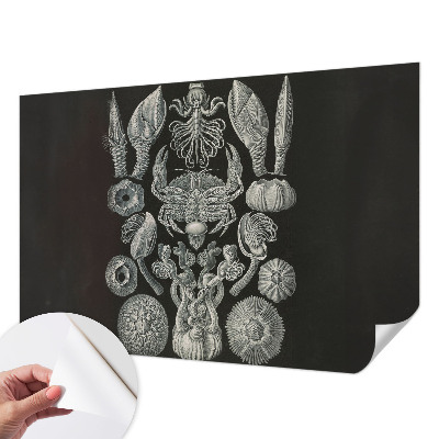Fototapeta samoprzylepna z nadrukiem Podwodne formy