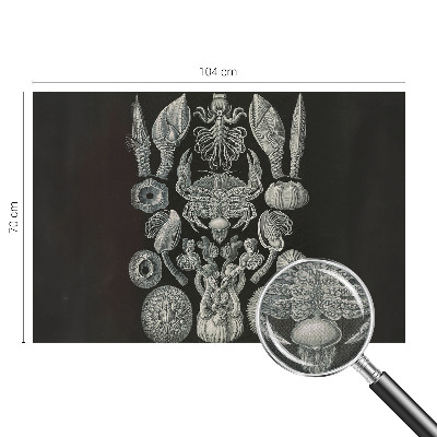 Fototapeta samoprzylepna z nadrukiem Fototapeta samoprzylepna z nadrukiem