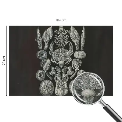 Fototapeta samoprzylepna z nadrukiem z motywem „Podwodne formy”