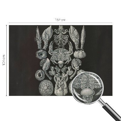 Fototapeta samoprzylepna z nadrukiem Fototapeta samoprzylepna z nadrukiem