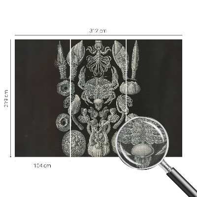 Fototapeta samoprzylepna z nadrukiem Fototapeta samoprzylepna z nadrukiem