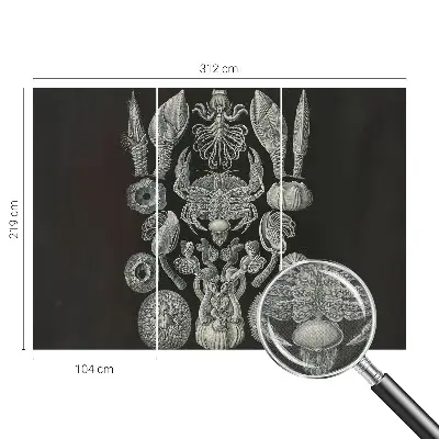 Fototapeta samoprzylepna z nadrukiem z motywem „Podwodne formy”