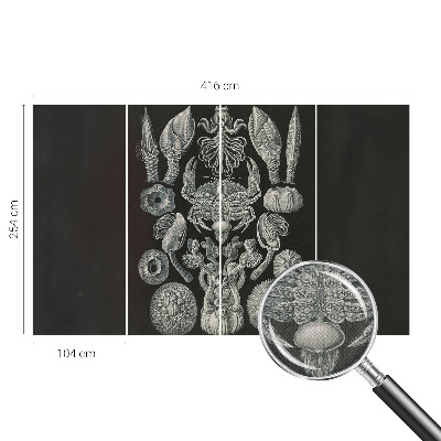 Fototapeta samoprzylepna z nadrukiem Fototapeta samoprzylepna z nadrukiem