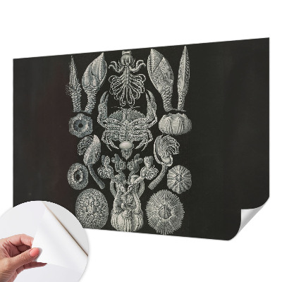 Fototapeta samoprzylepna z nadrukiem Fototapeta samoprzylepna z nadrukiem