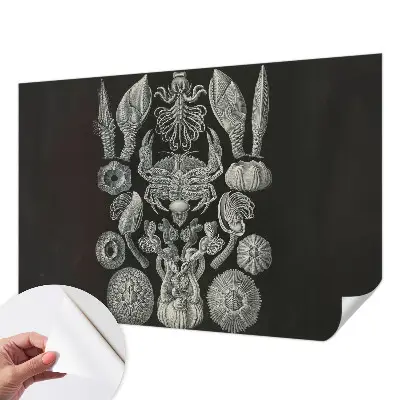 Fototapeta samoprzylepna z nadrukiem z motywem „Podwodne formy”