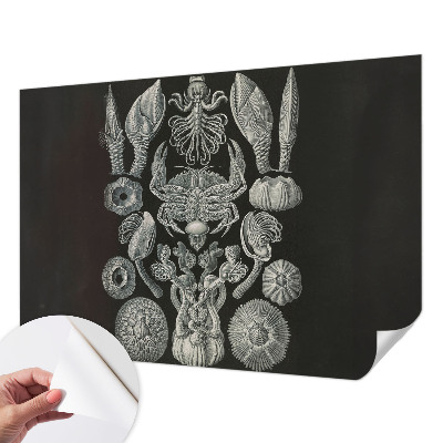 Fototapeta samoprzylepna z nadrukiem Fototapeta samoprzylepna z nadrukiem