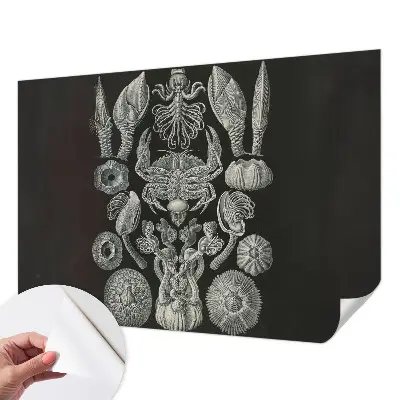 Fototapeta samoprzylepna z nadrukiem z motywem „Podwodne formy”