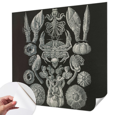 Fototapeta samoprzylepna z nadrukiem Fototapeta samoprzylepna z nadrukiem