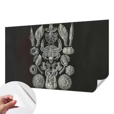 Fototapeta samoprzylepna z nadrukiem Fototapeta samoprzylepna z nadrukiem