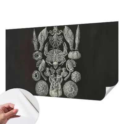 Fototapeta samoprzylepna z nadrukiem z motywem „Podwodne formy”