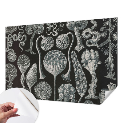 Fototapeta samoprzylepna do sypialni Magiczne rośliny