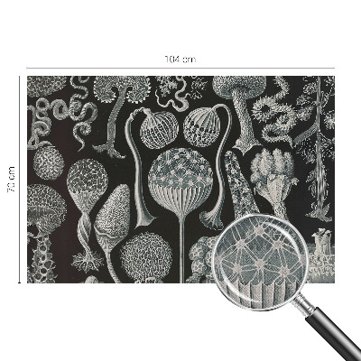 Fototapeta samoprzylepna do sypialni Fototapeta samoprzylepna do sypialni