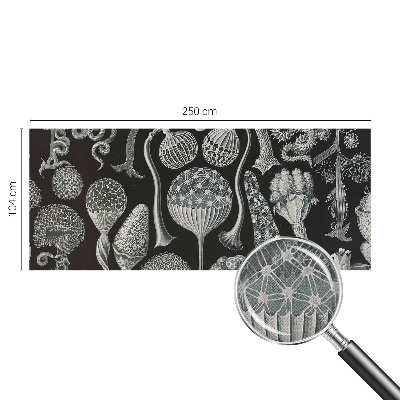 Fototapeta samoprzylepna do sypialni Fototapeta samoprzylepna do sypialni