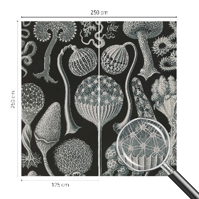 Fototapeta samoprzylepna do sypialni Fototapeta samoprzylepna do sypialni