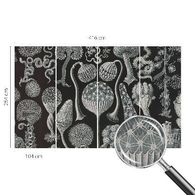 Fototapeta samoprzylepna do sypialni z motywem magicznych roślin