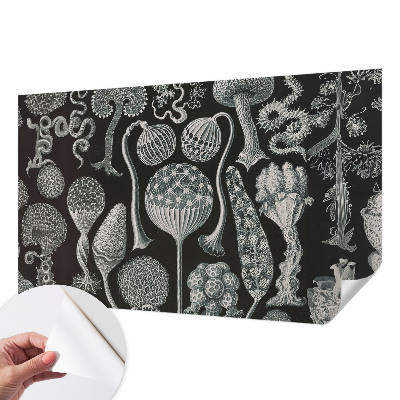 Fototapeta samoprzylepna do sypialni Fototapeta samoprzylepna do sypialni