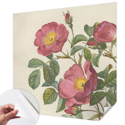 Fototapeta na ścianę Fototapeta na ścianę