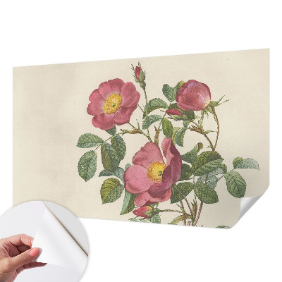 Fototapeta na ścianę Fototapeta na ścianę