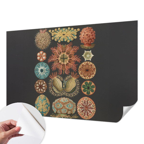 Dekoracyjna fototapeta na ścianę Dekoracyjna fototapeta na ścianę