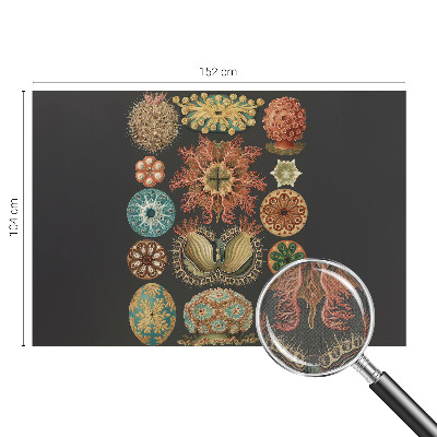 Dekoracyjna fototapeta na ścianę Dekoracyjna fototapeta na ścianę