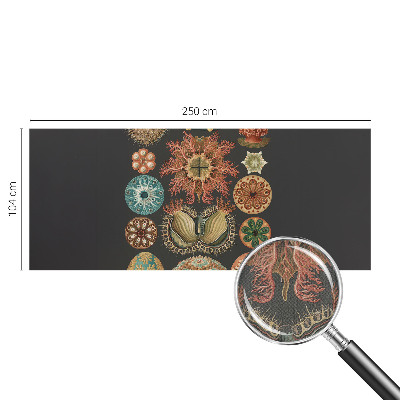 Dekoracyjna fototapeta na ścianę Dekoracyjna fototapeta na ścianę