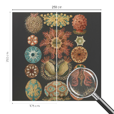 Dekoracyjna fototapeta na ścianę Dekoracyjna fototapeta na ścianę