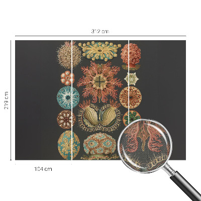 Dekoracyjna fototapeta na ścianę Dekoracyjna fototapeta na ścianę