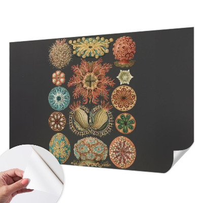 Dekoracyjna fototapeta na ścianę Dekoracyjna fototapeta na ścianę