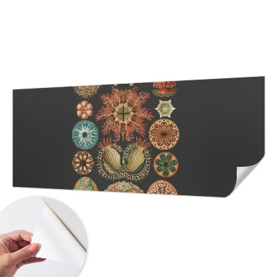 Dekoracyjna fototapeta na ścianę Dekoracyjna fototapeta na ścianę