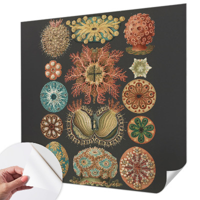 Dekoracyjna fototapeta na ścianę Dekoracyjna fototapeta na ścianę