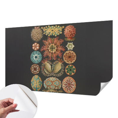 Dekoracyjna fototapeta na ścianę Dekoracyjna fototapeta na ścianę