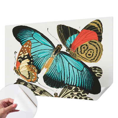 Dekoracyjna fototapeta na ścianę Dekoracyjna fototapeta na ścianę