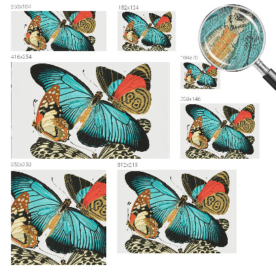 Dekoracyjna fototapeta na ścianę Dekoracyjna fototapeta na ścianę