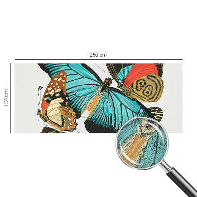 Dekoracyjna fototapeta na ścianę Dekoracyjna fototapeta na ścianę