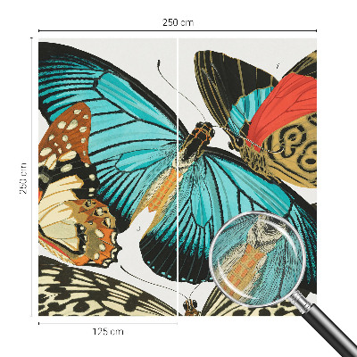 Dekoracyjna fototapeta na ścianę Dekoracyjna fototapeta na ścianę