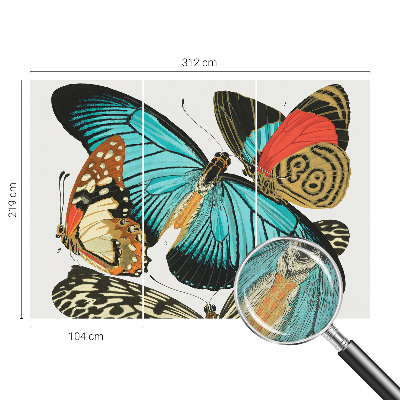 Dekoracyjna fototapeta na ścianę Dekoracyjna fototapeta na ścianę