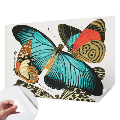 Dekoracyjna fototapeta na ścianę Dekoracyjna fototapeta na ścianę