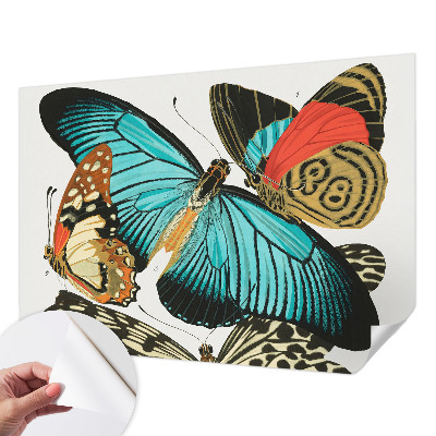 Dekoracyjna fototapeta na ścianę Dekoracyjna fototapeta na ścianę