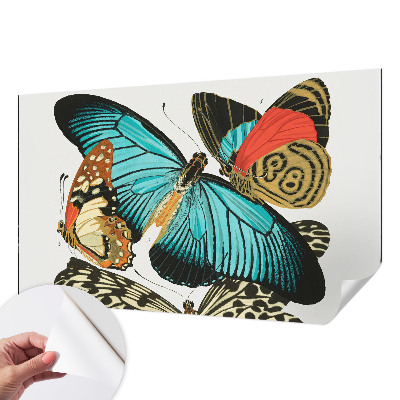 Dekoracyjna fototapeta na ścianę Dekoracyjna fototapeta na ścianę